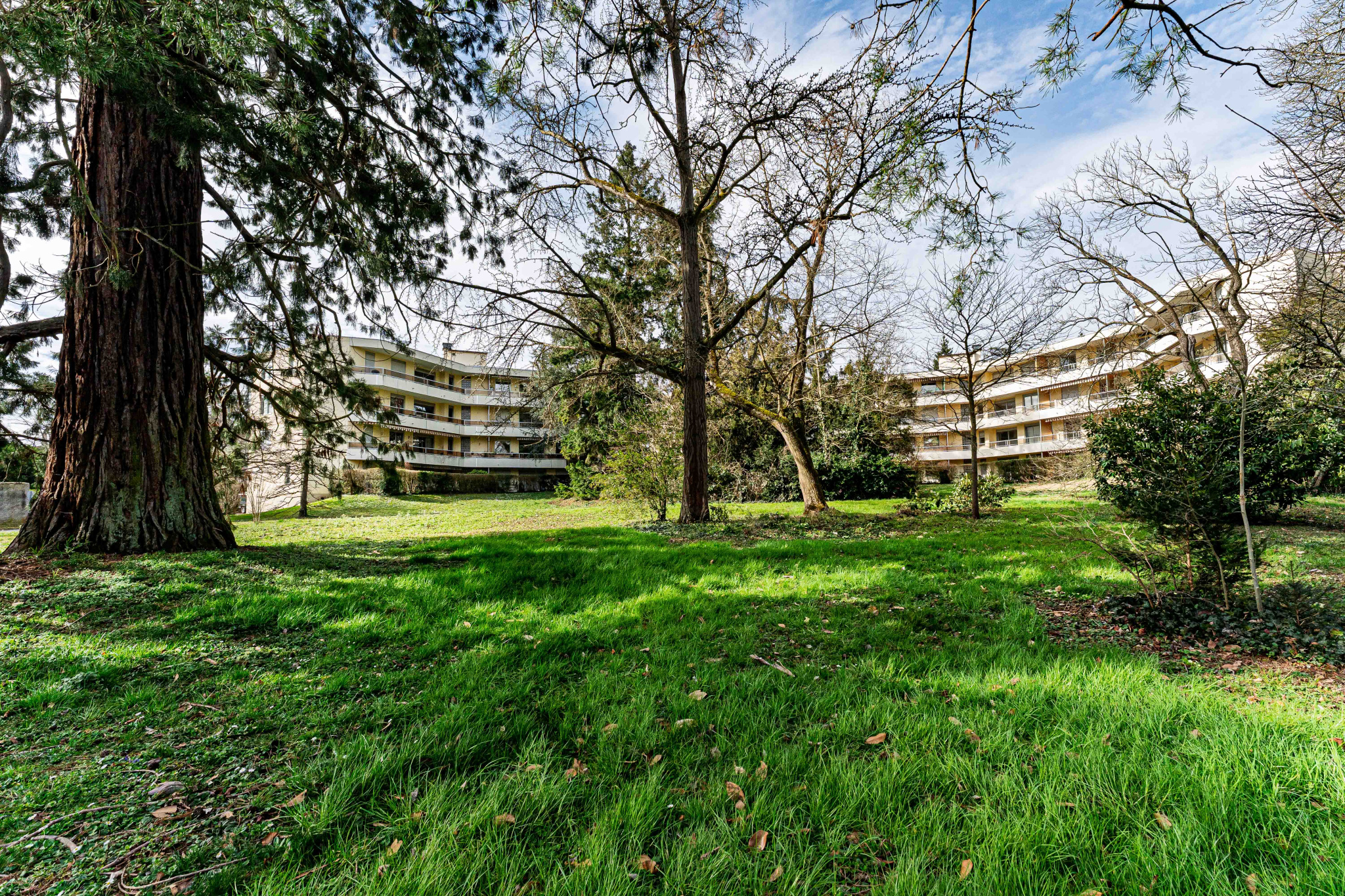 Agence immobilière de Sandra Viricel Immobilier